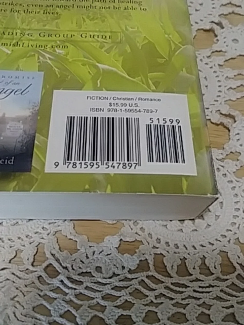 Book Sale! 3 for $10! Amish - Brush of Angel's Wings